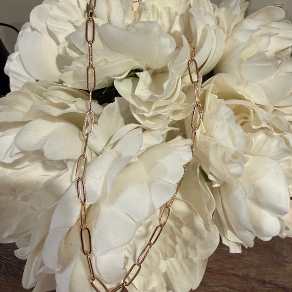 RACHEL GLAUBER 14K Gold Plated Paperclip Link Chain Necklace NEW - Picture 3 of 7